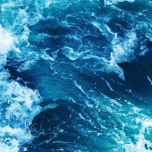 Meet your Posher, Mia